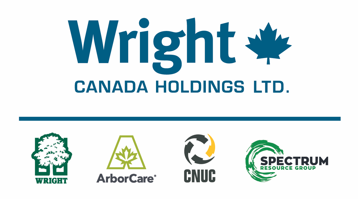 Wright Canada Holdings